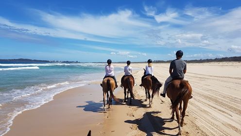 Horseabout Tours | 22 Dee Cres, Tuncurry NSW 2428, Australia | Phone: 0423 830 738