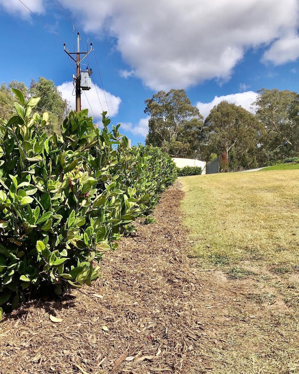 Blakiston Lawn Care | general contractor | Joseph Rd, Blakiston SA 5250, Australia | 0468300129 OR +61 468 300 129