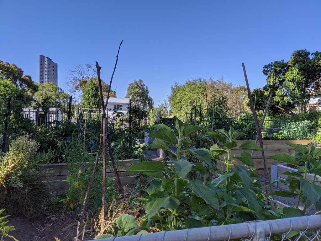 Combarton Street Community Gardens | 3 Combarton St, Box Hill VIC 3128, Australia