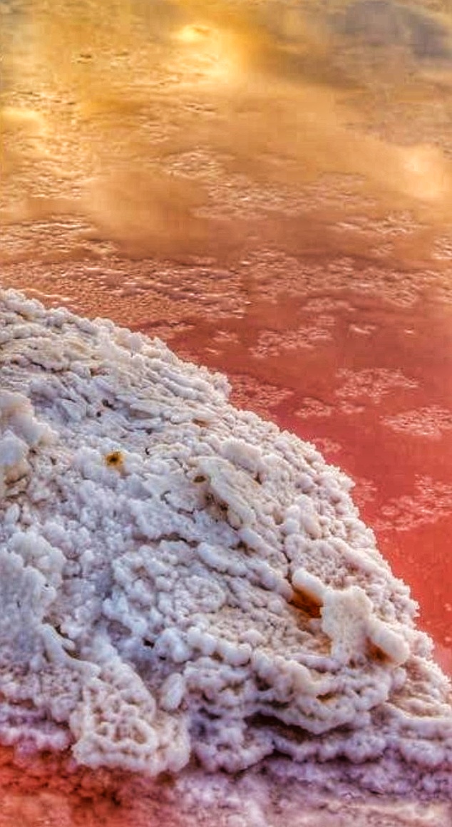 Murray River Salt | 4 Bothroyd Ct, Mildura VIC 3500, Australia | Phone: (03) 5021 5355