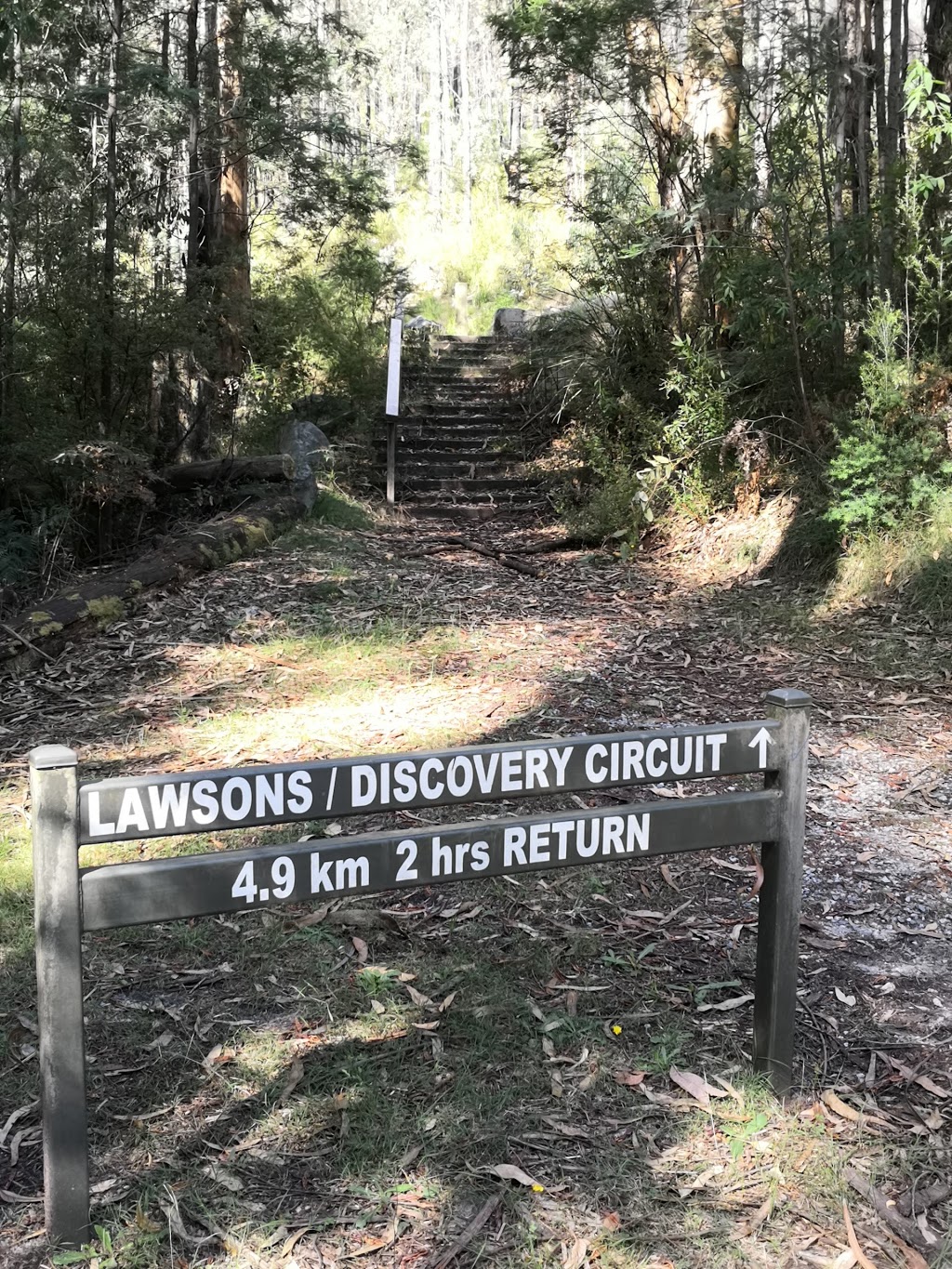 Lawsons Falls Picnic Ground. | Forest Rd, Gentle Annie VIC 3833, Australia | Phone: 13 19 63