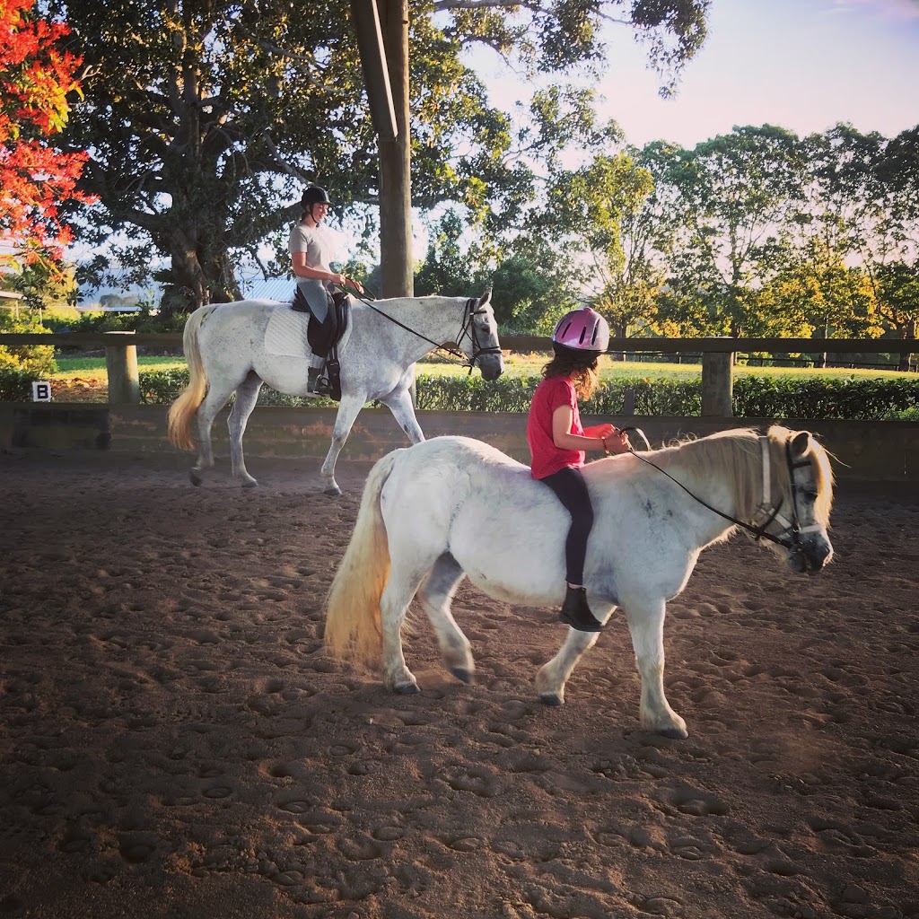 Horses and Humans Equestrian Centre | 92 Lockes Ln, Belli Park QLD 4562, Australia | Phone: (07) 5447 0450