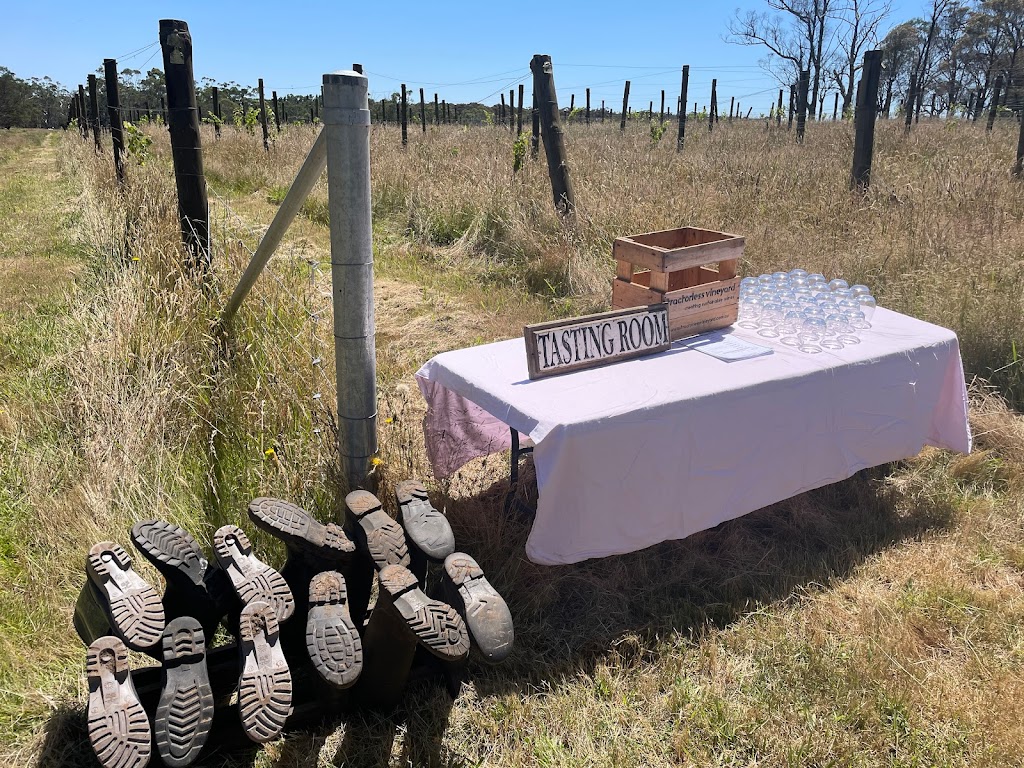 Tractorless Vineyard | 132 Compton Park Rd, Berrima NSW 2577, Australia | Phone: 0402 217 907