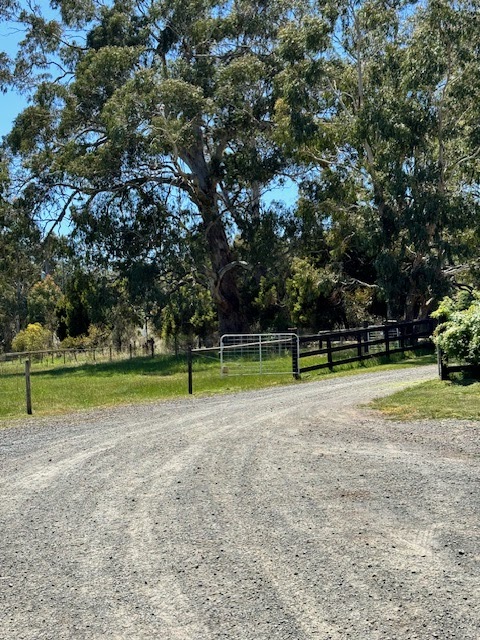Illoura Equestrian | 1020 Daylesford-Malmsbury Rd, Glenlyon VIC 3461, Australia | Phone: 0421 611 201