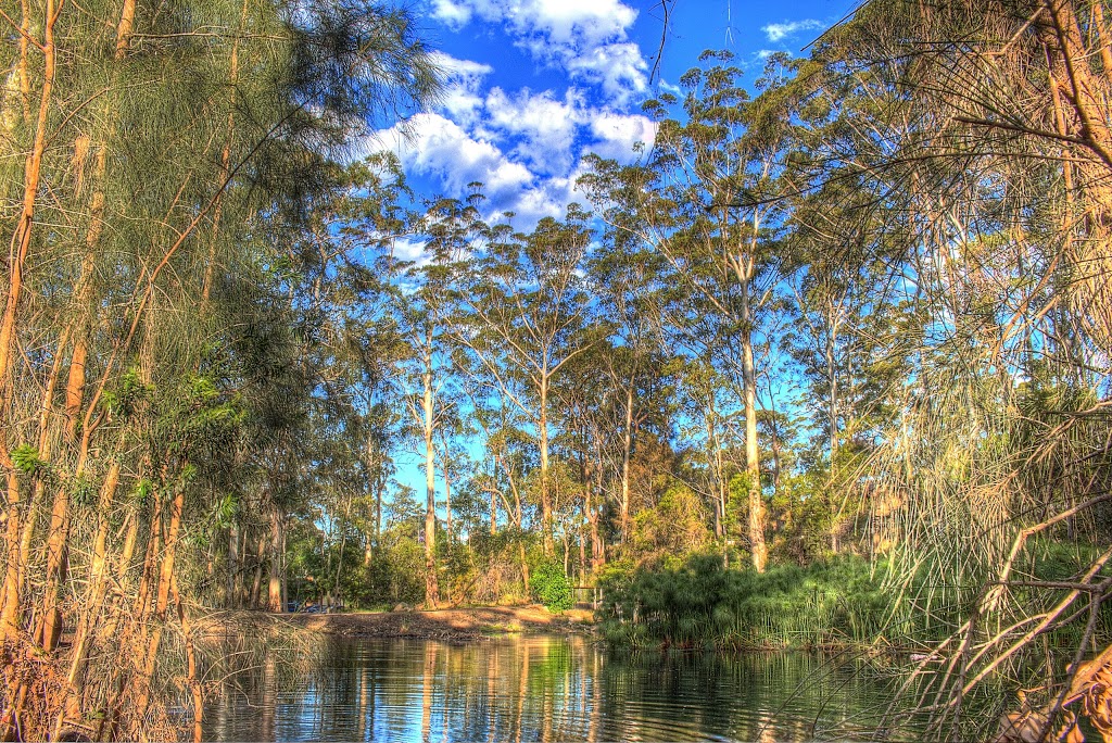 The Lakes of Cherrybrook | park | Cherrybrook NSW 2126, Australia | 0298746666 OR +61 2 9874 6666