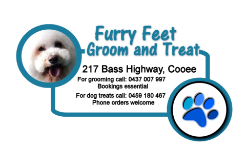 Furry Feet Groom and Treat | 217 Bass Hwy, Cooee TAS 7320, Australia | Phone: 0459 180 467