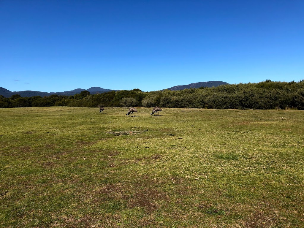 Prom Wildlife Walk | tourist attraction | Wilsons Promontory Rd, Wilsons Promontory VIC 3960, Australia | 131963 OR +61 131963