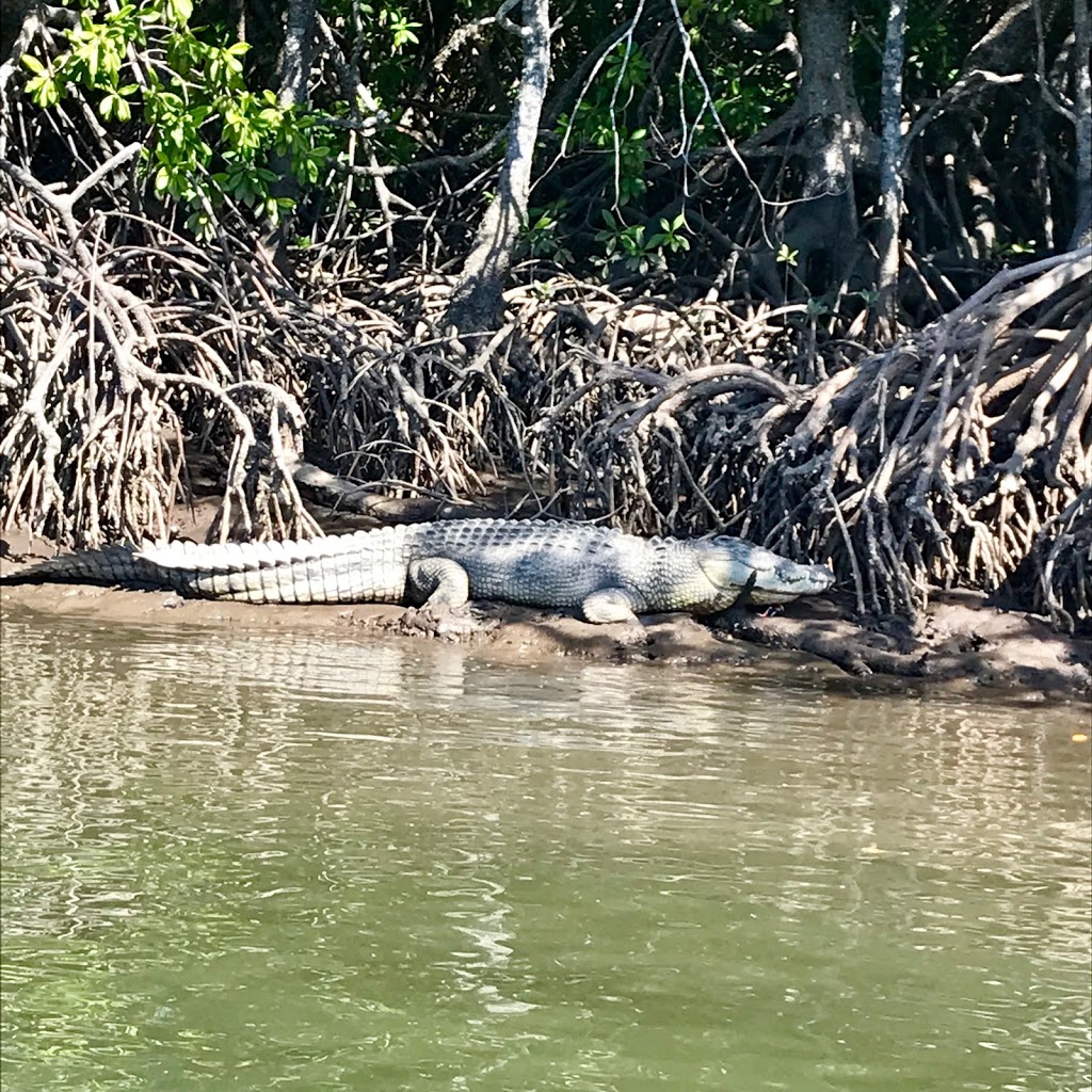 Lady Douglas River Cruises | travel agency | Crystalbrook Superyacht Marina, 44 Wharf St, Port Douglas QLD 4877, Australia | 0408986127 OR +61 408 986 127