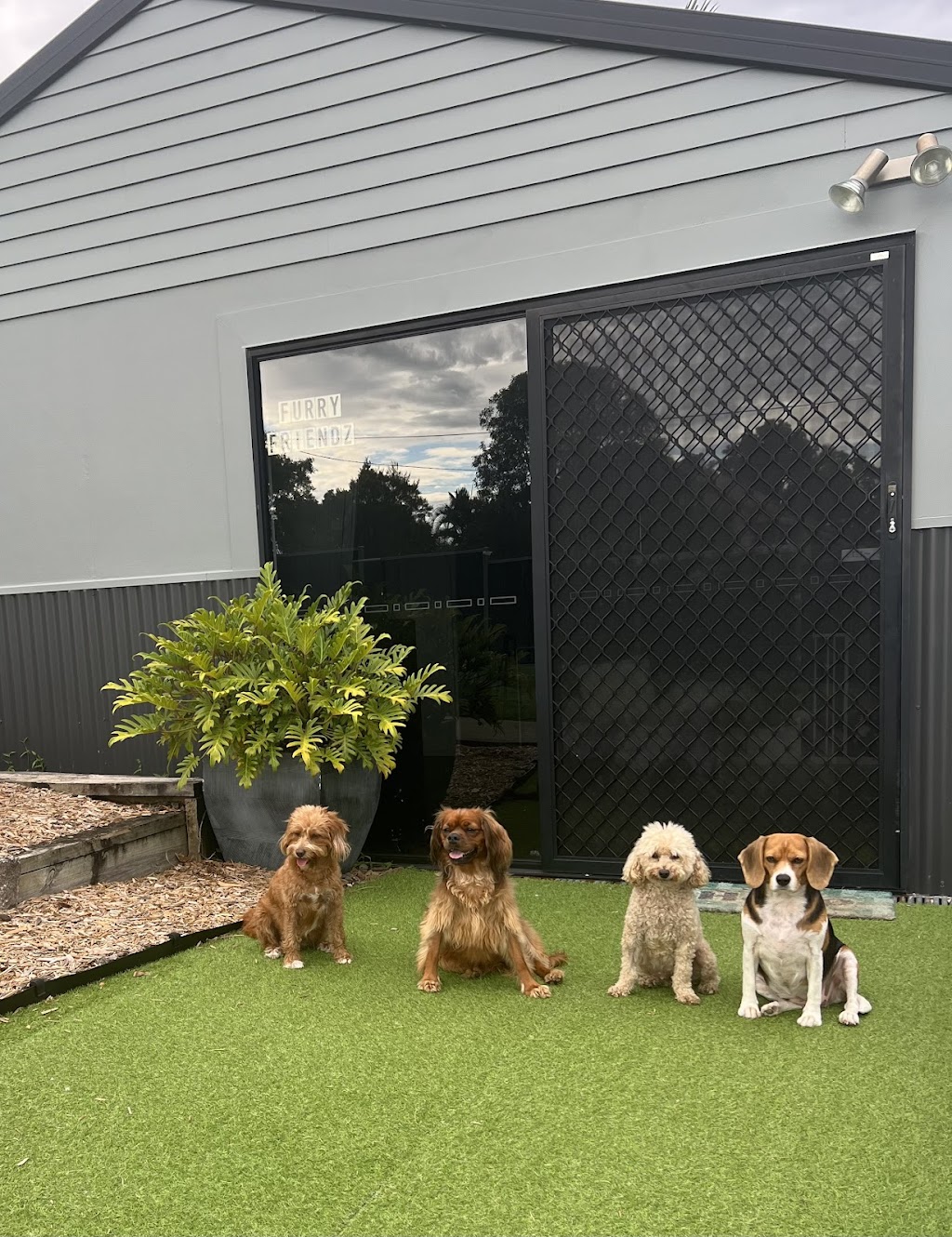 Furry Friendz - Personalised Dog Grooming | 14 Sycamore St, Redland Bay QLD 4165, Australia | Phone: 0459 129 289