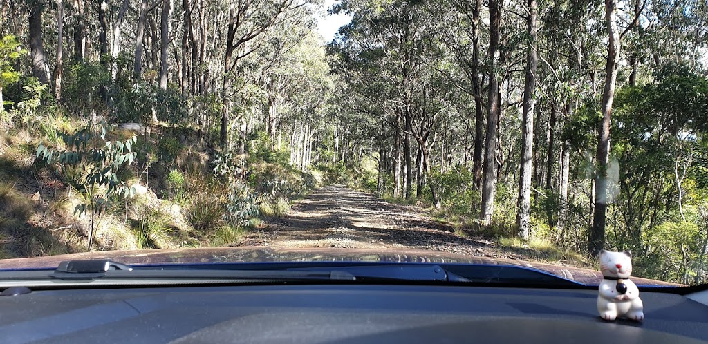 Cunnawarra National Park | park | Lower Creek NSW 2440, Australia | 1300072757 OR +61 1300 072 757