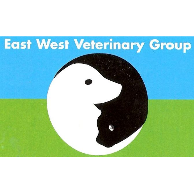 East West Vets - Dr Ann Nevill | veterinary care | 565 South Rd, Bentleigh VIC 3204, Australia | 0395551899 OR +61 3 9555 1899