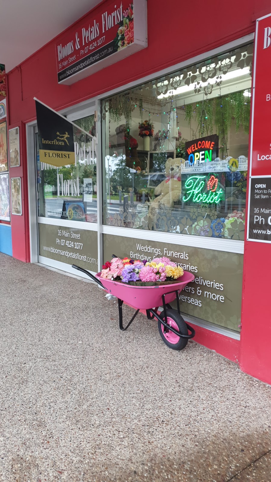 Blooms & Petals Florist | florist | 16 Main St, Pialba Hervey Bay QLD 4655, Australia | 0741241077 OR +61 7 4124 1077