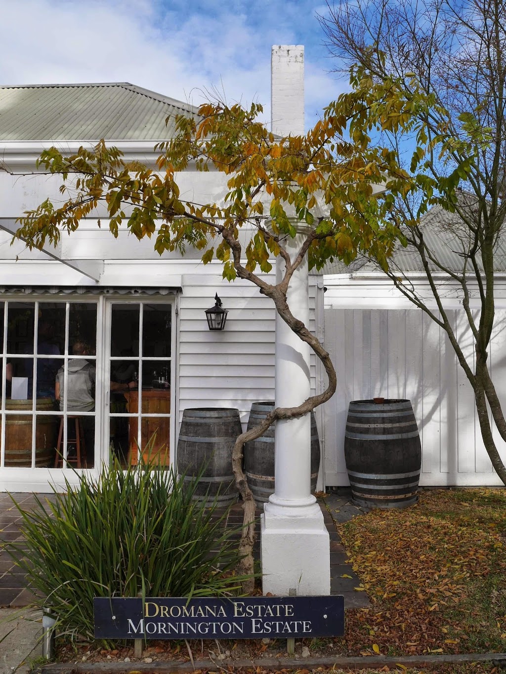 Dromana Estate Winery | 555 Old Moorooduc Rd, Tuerong VIC 3915, Australia | Phone: (03) 5974 4400
