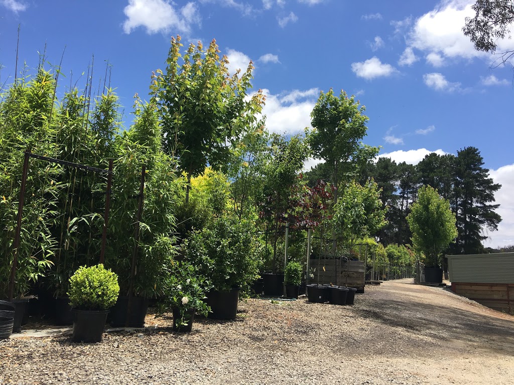 Engel Advanced Trees & Bamboo Adelaide | store | 83 Bassnet Rd, Humbug Scrub SA 5114, Australia | 0882800066 OR +61 8 8280 0066