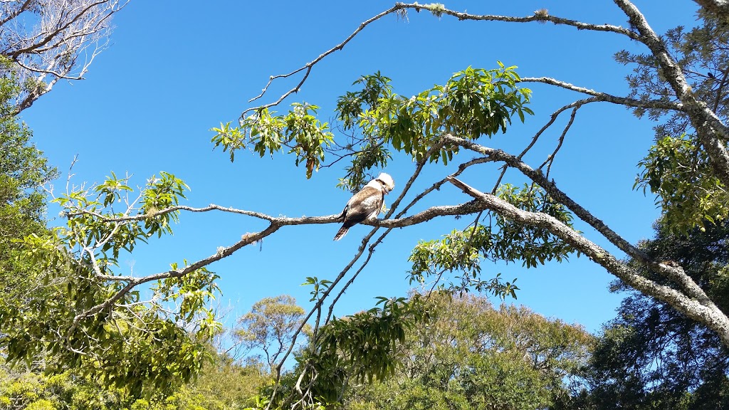 Abrahams Bosom Reserve Walking Track | Abrahams Bosom Reserve, Gerringong St, Beecroft Peninsula NSW 2540, Australia | Phone: (02) 4429 3111