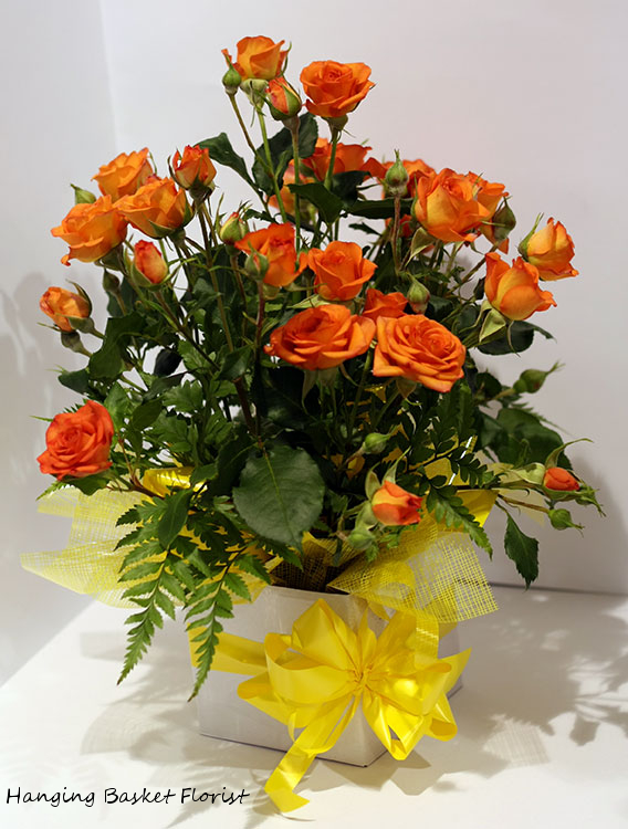 Hanging Basket Florist | 10 Ameer St, Rockingham WA 6168, Australia | Phone: (08) 9527 5562