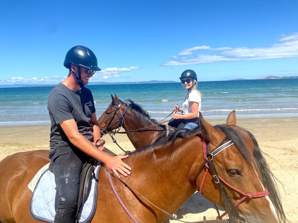 Horse Riding Tasmania | 1592 Buckland Rd, Woodsdale TAS 7120, Australia | Phone: 0417 308 069