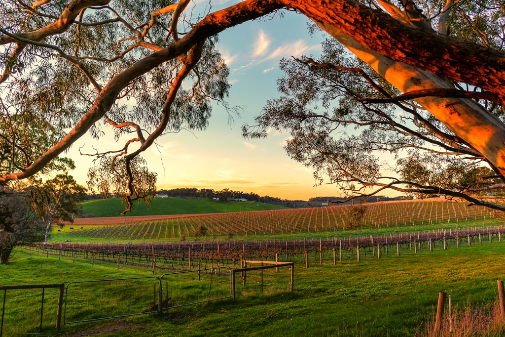 62 high street willunga | 62 High St, Willunga SA 5172, Australia | Phone: 0433 147 269