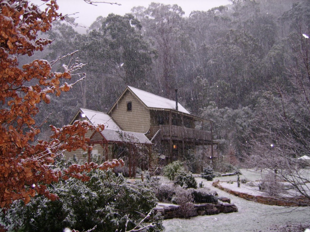 Shady Brook Cottages | lodging | 20 Mountain View Walk, Harrietville VIC 3741, Australia | 0438050475 OR +61 438 050 475