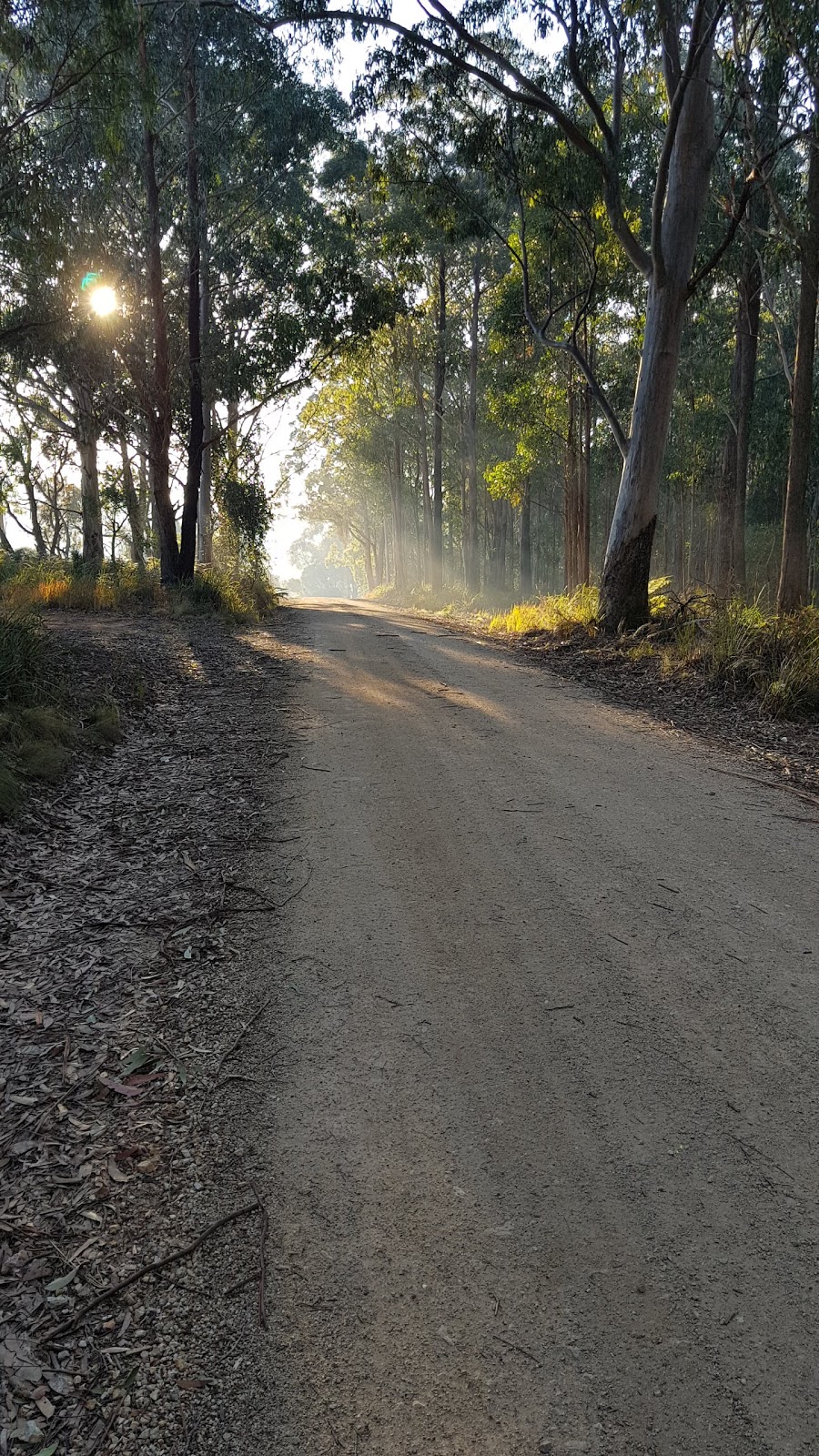 Werrikimbe National Park | Forbes River NSW 2446, Australia | Phone: 1300 072 757