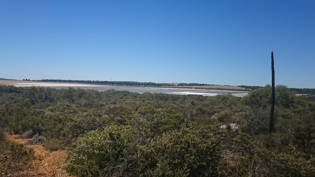 Hakea Reserve | park | Nambung WA 6521, Australia