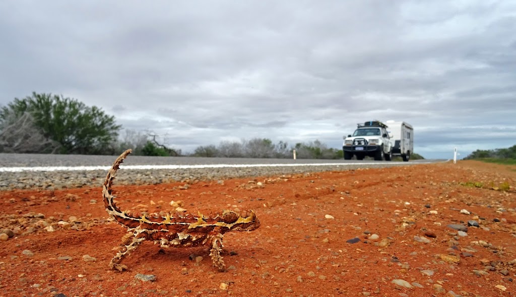 Mobile Weight Check - Vehicle and Caravan Weighing |  | 9 Reiners Rd, Samford Valley QLD 4520, Australia | 0411645998 OR +61 411 645 998