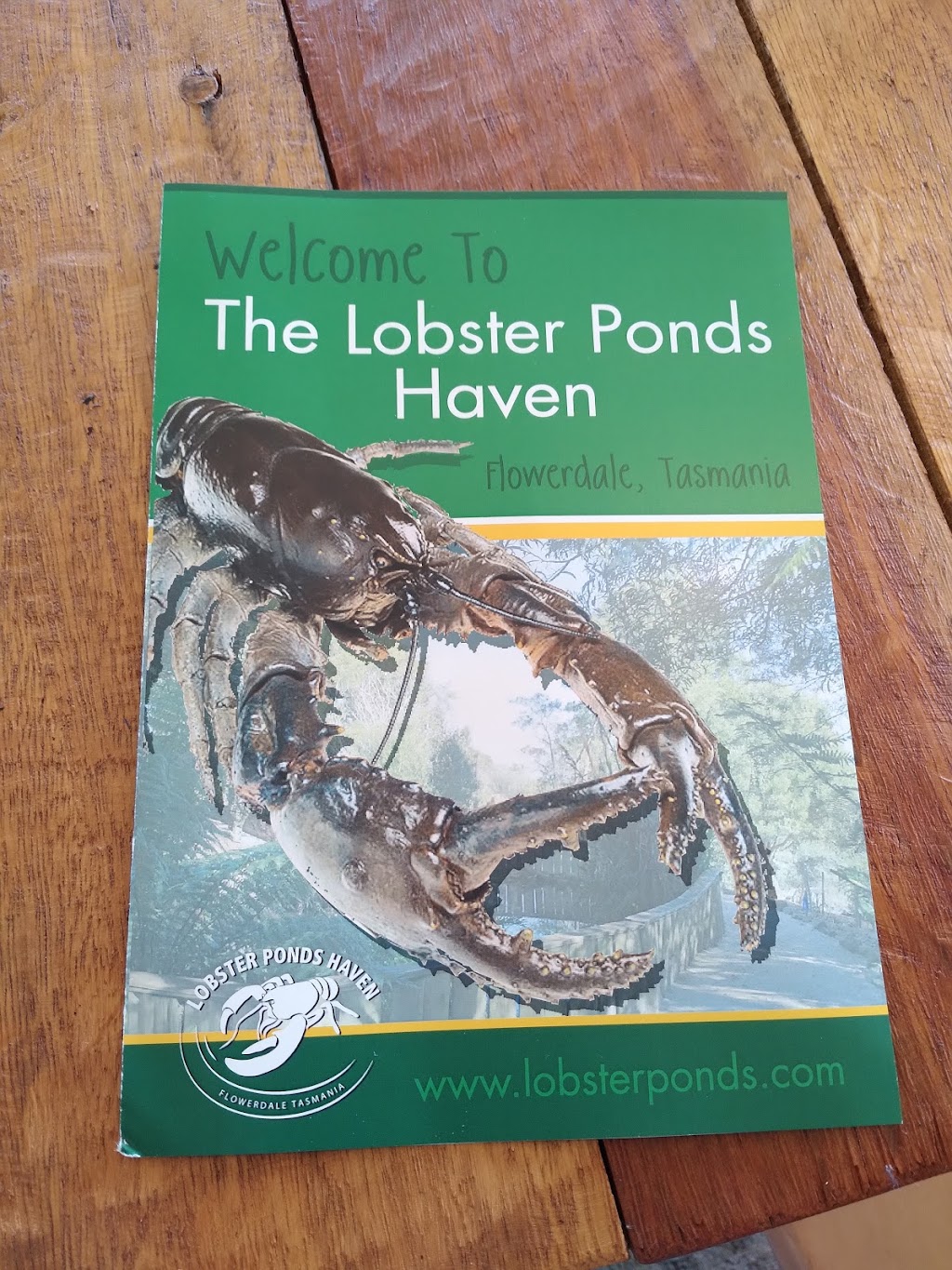 Lobster Ponds | tourist attraction | 241 Robin Hill Rd, Flowerdale TAS 7325, Australia | 0458420006 OR +61 458 420 006