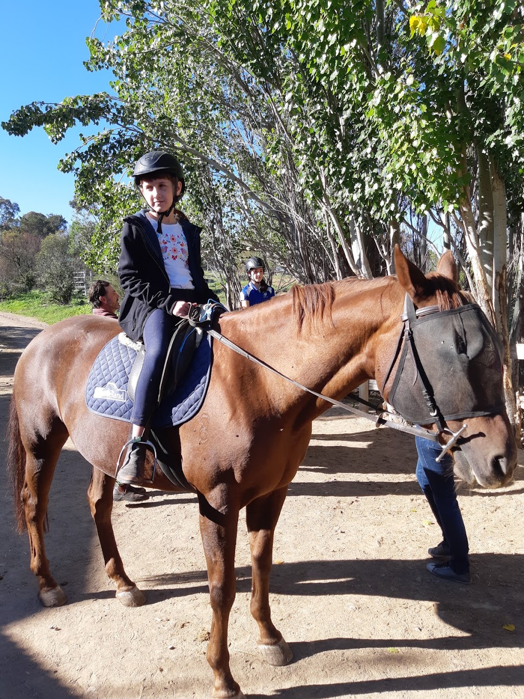 Stromlo Equestrian Centre | 912 Cotter Rd, Canberra ACT 2611, Australia | Phone: (02) 6288 1600