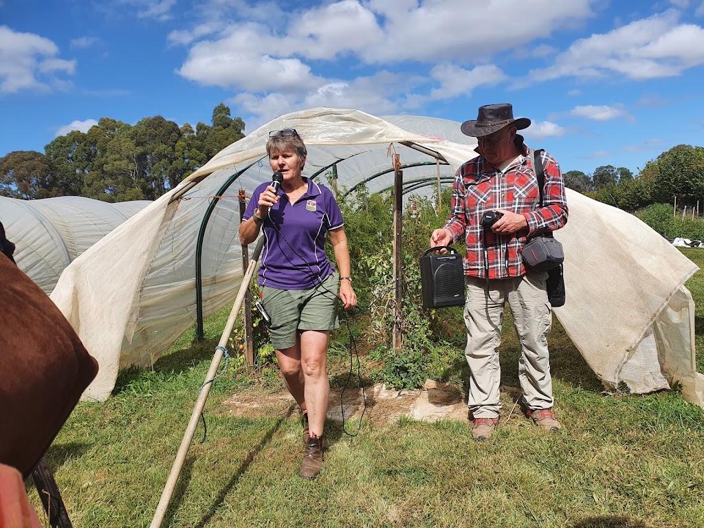 Tasmanian Garlic and Tomato Festival | Four Springs Rd, Selbourne TAS 7292, Australia | Phone: 0438 009 522