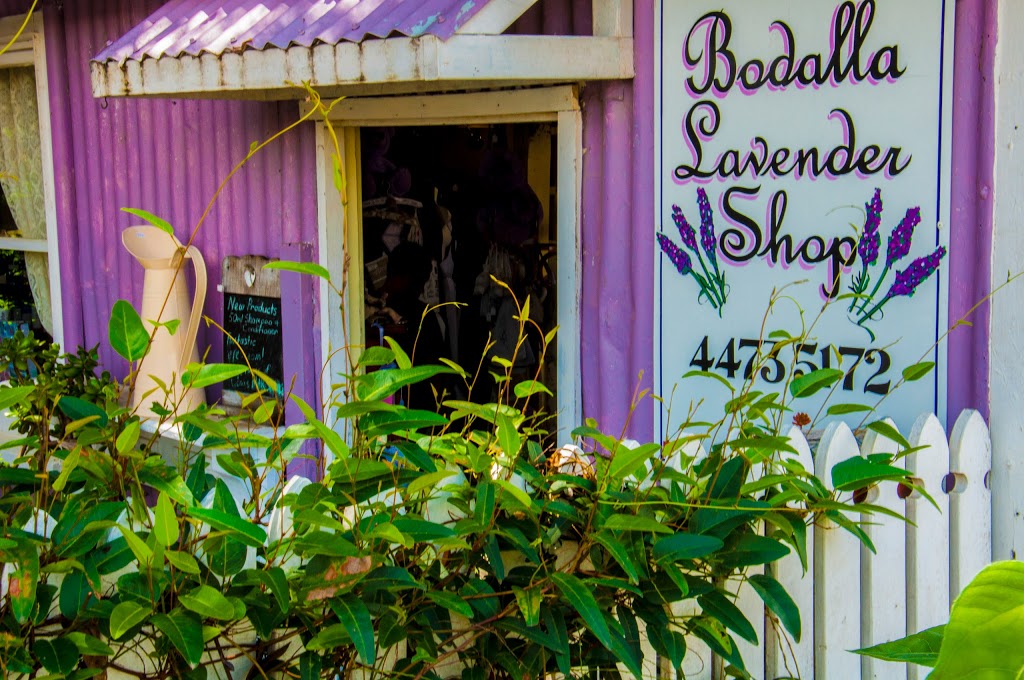 Bodalla Lavender Shop | store | 56 Princes Hwy, Bodalla NSW 2545, Australia | 0244735172 OR +61 2 4473 5172