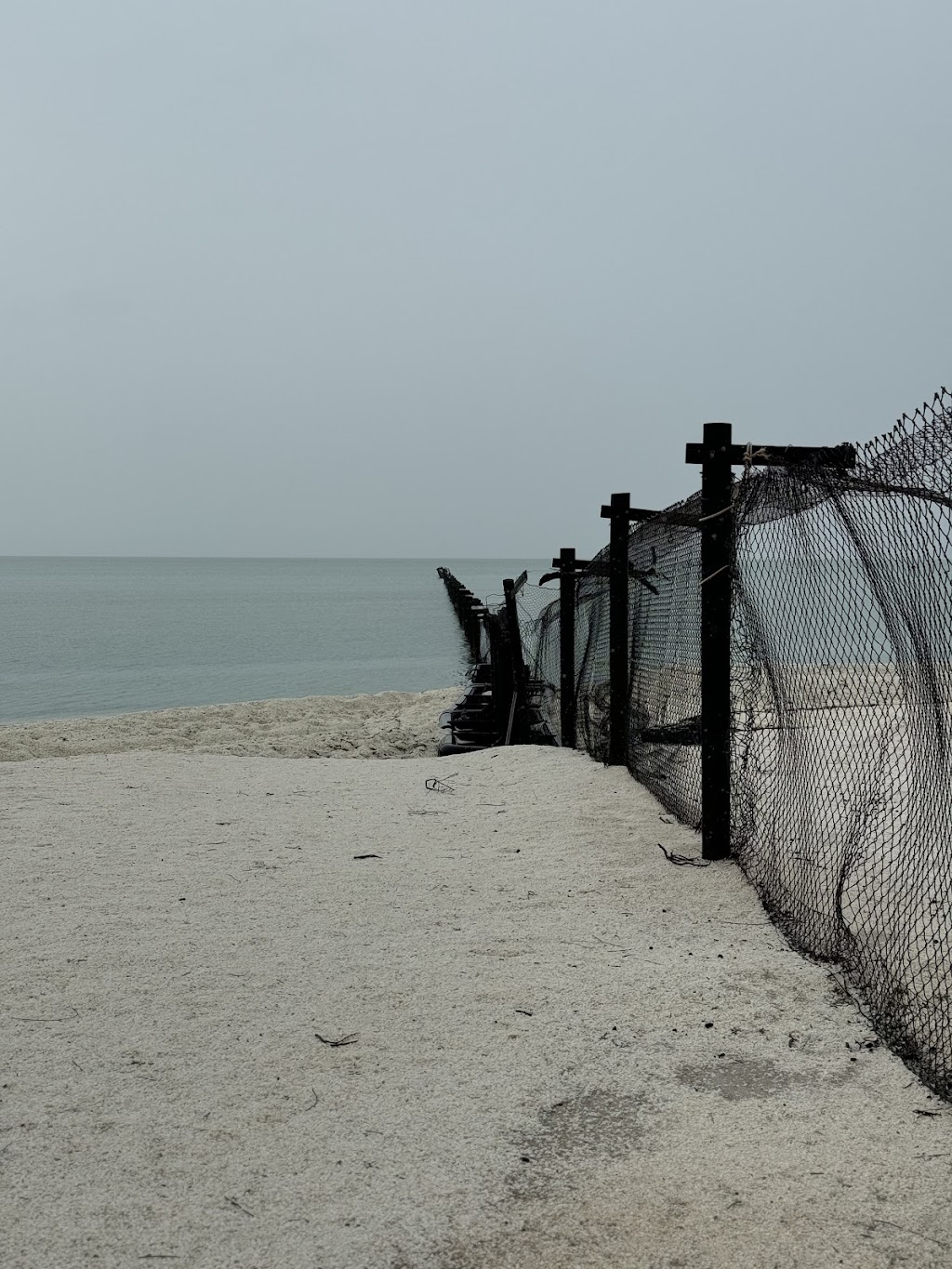 Feral Proof Fence | Shark Bay Rd, Francois Peron Natl Park WA 6537, Australia | Phone: (08) 9948 1590