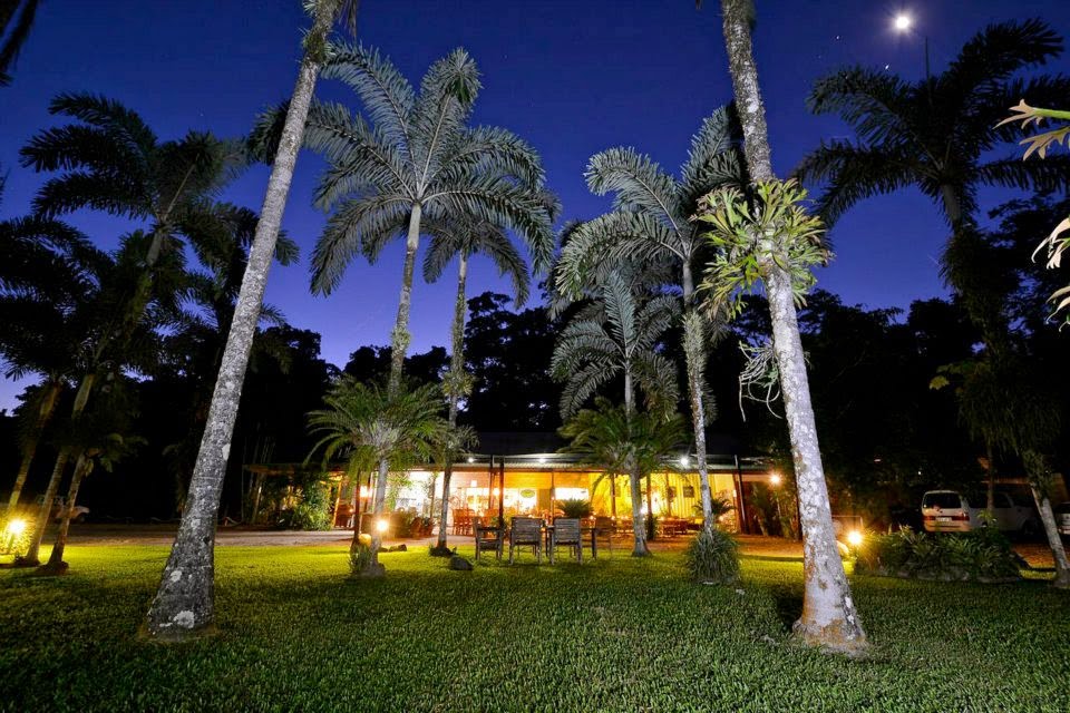 Lync-Haven Rainforest Accommodation | campground | 44 Cape Tribulation Rd, Cape Tribulation QLD 4873, Australia | 0740989155 OR +61 7 4098 9155