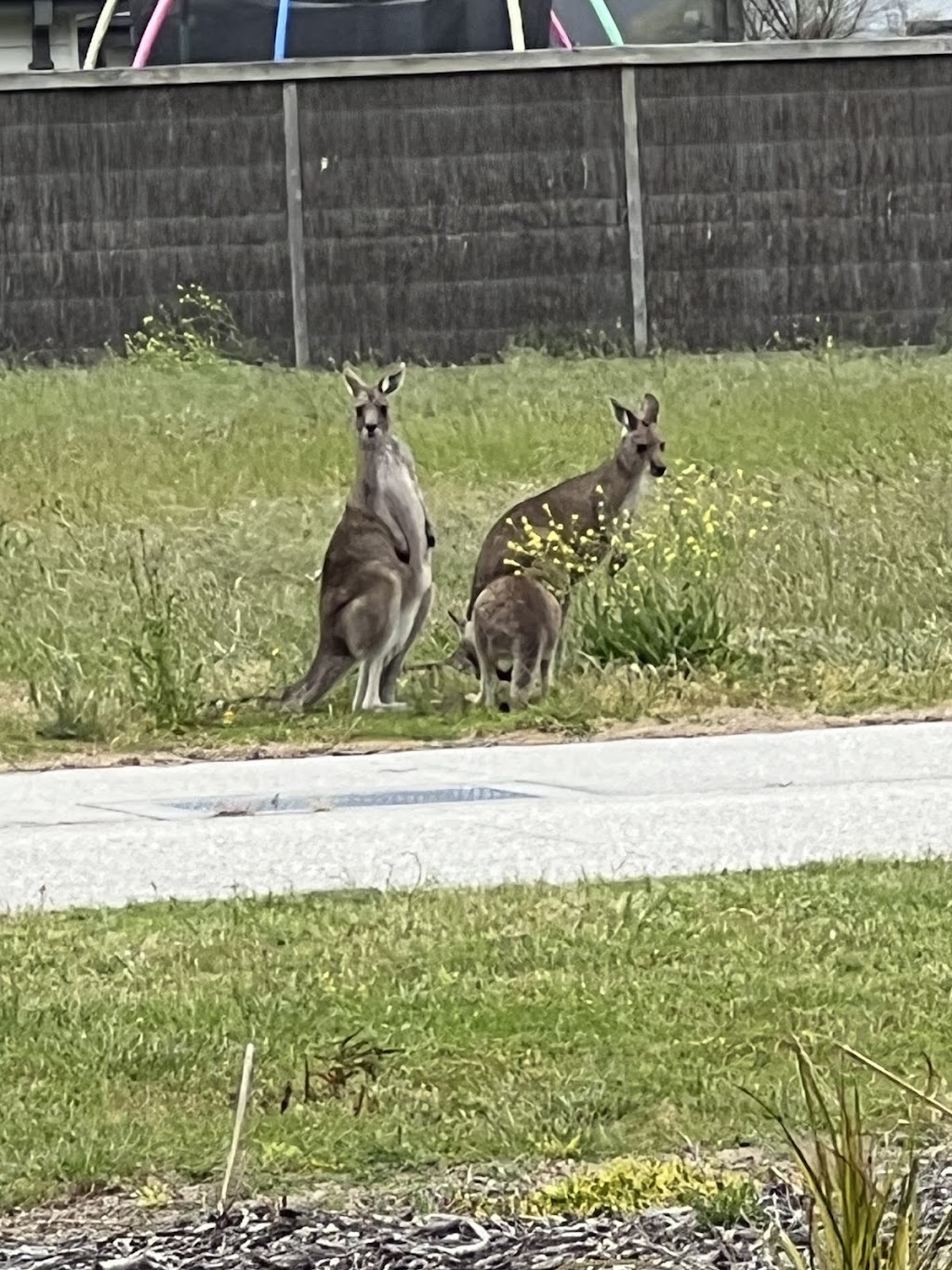 Vitamin Sea Inverloch | 73 Karkalla Dr, Inverloch VIC 3996, Australia | Phone: 0427 671 144