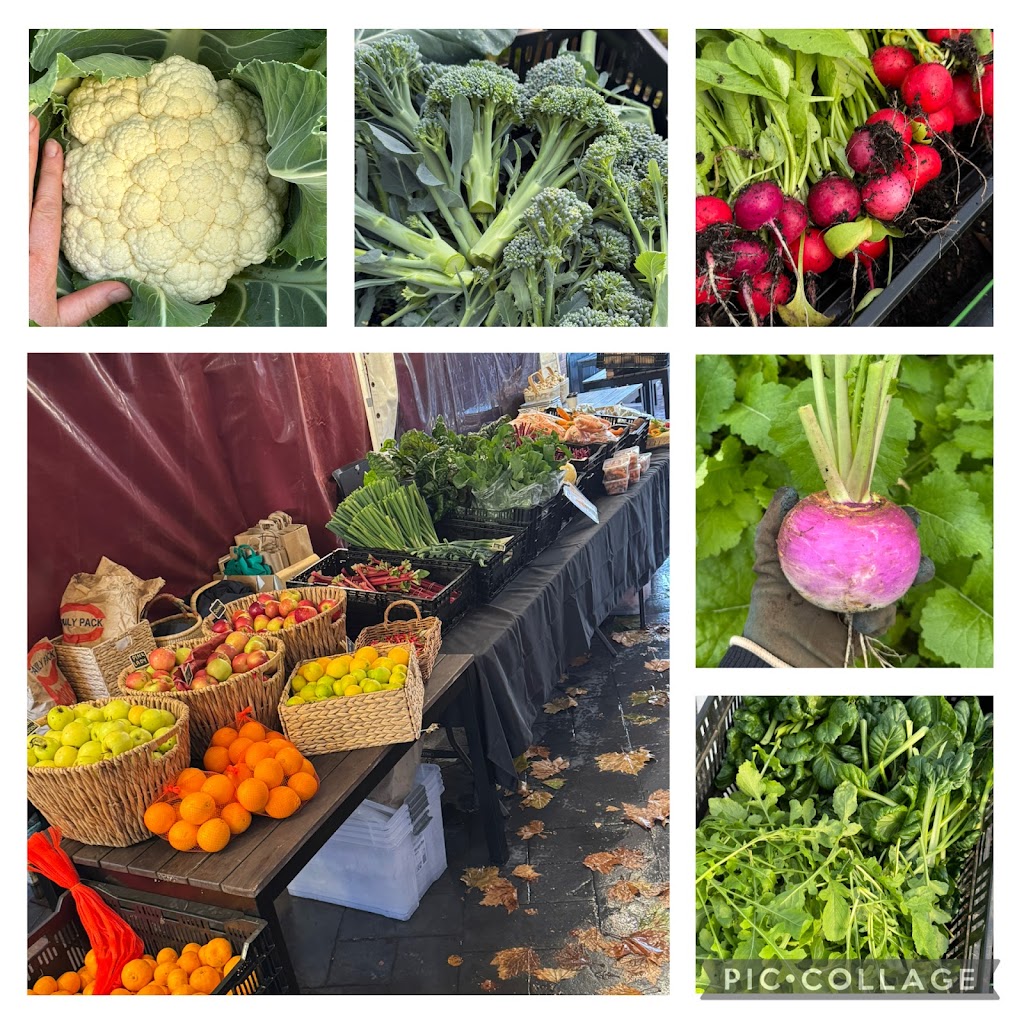 Arteka Farming | 65A Kannenbergs Rd, Hamilton VIC 3300, Australia | Phone: 0459 485 776 Arteka Farming | 65A Kannenbergs Rd, Hamilton VIC 3300, Australia | Phone: 0459 485 776