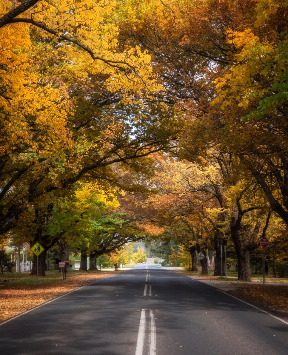 Bonnie Barn | 10 Collins Rd, Glenlyon VIC 3461, Australia | Phone: 0431 625 846 Bonnie Barn | 10 Collins Rd, Glenlyon VIC 3461, Australia | Phone: 0431 625 846