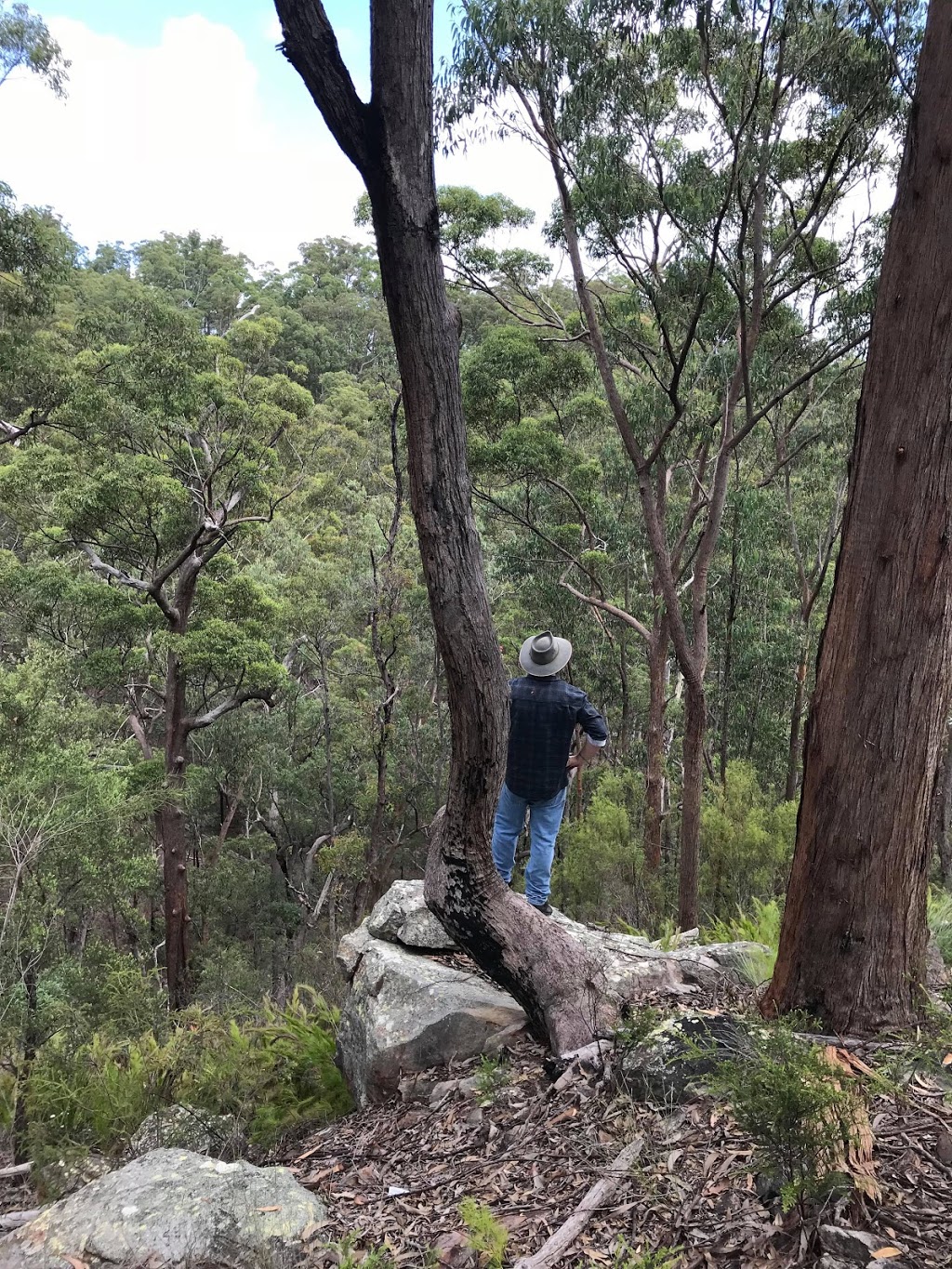 Lockyer National Park | park | Helidon QLD 4344, Australia