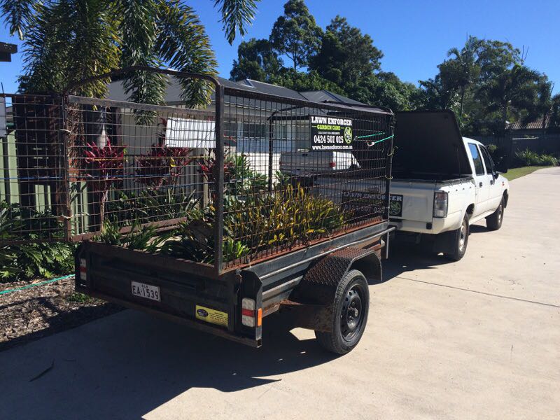 Lawn Enforcer Garden Care | park | 42 Naroon Cres, Wurtulla QLD 4575, Australia | 0424507025 OR +61 424 507 025