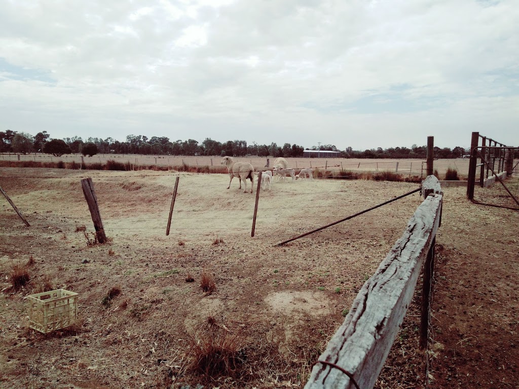 Belstack Strawberry Farm |  | 80 Bennetts Rd, Kialla West VIC 3631, Australia | 0358231324 OR +61 3 5823 1324