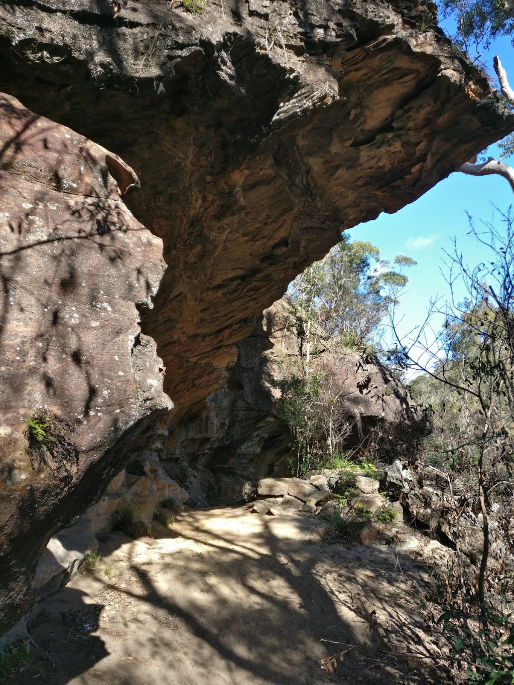 Berowra Valley National Park | New South Wales, Australia | Phone: (02) 9847 6666