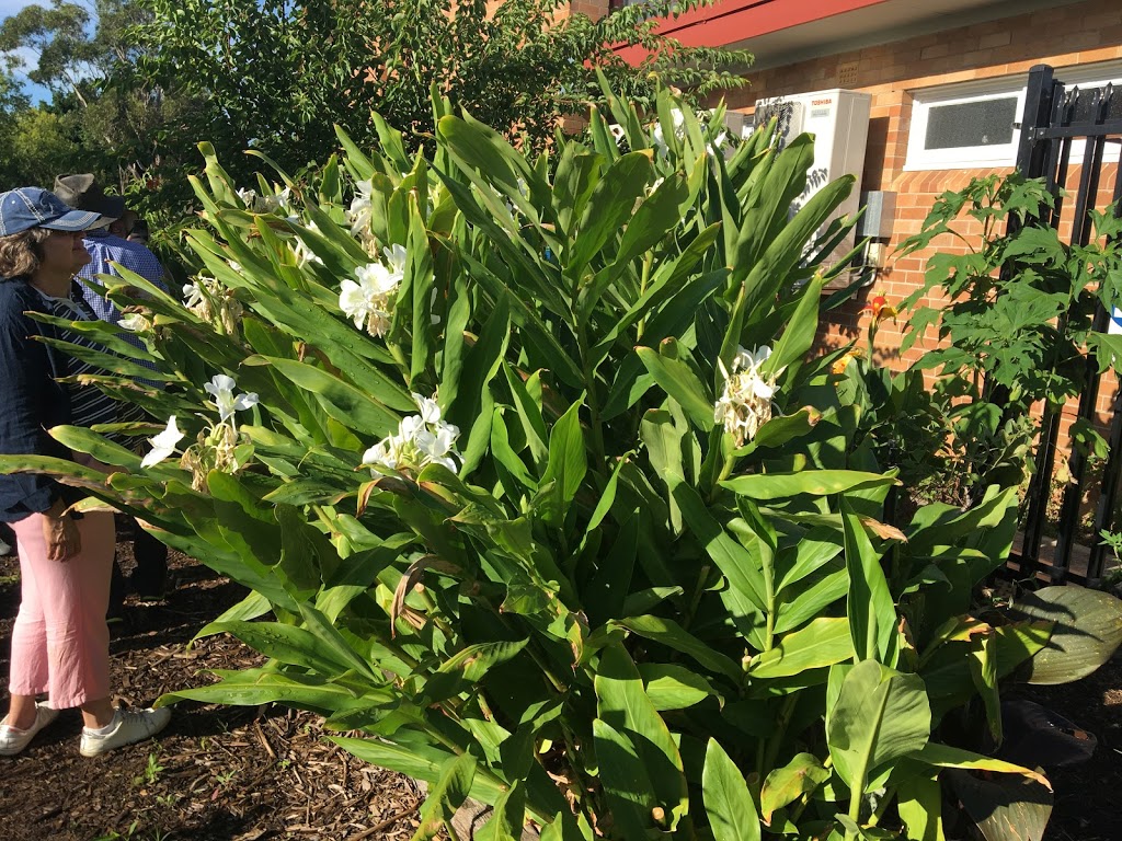 Lalor Park Community Garden | Parkside Dr, Lalor Park NSW 2147, Australia