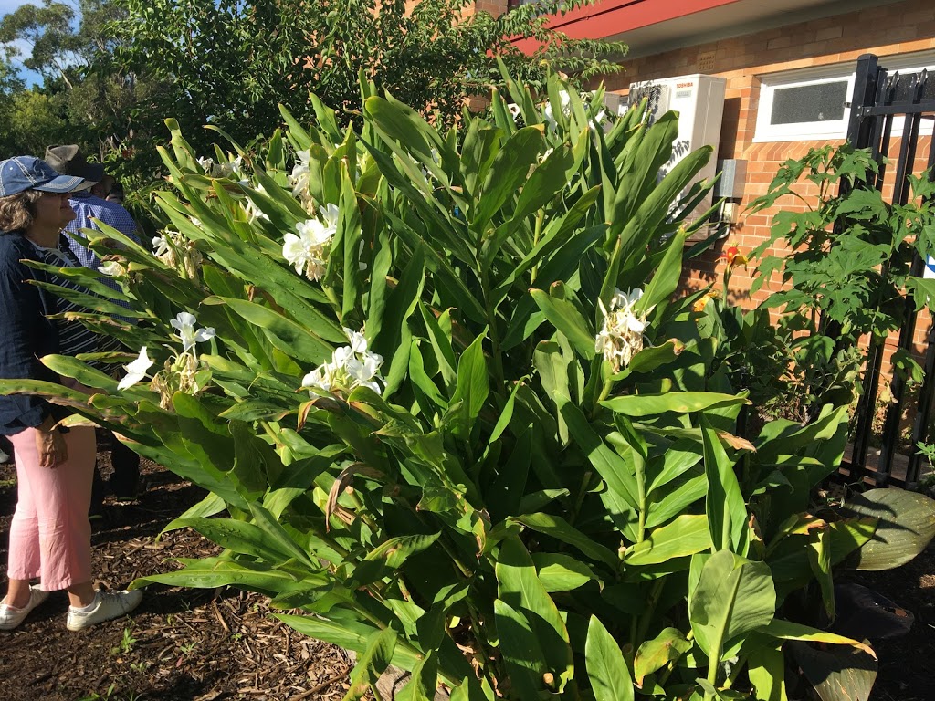 Lalor Park Community Garden | park | Parkside Dr, Lalor Park NSW 2147, Australia