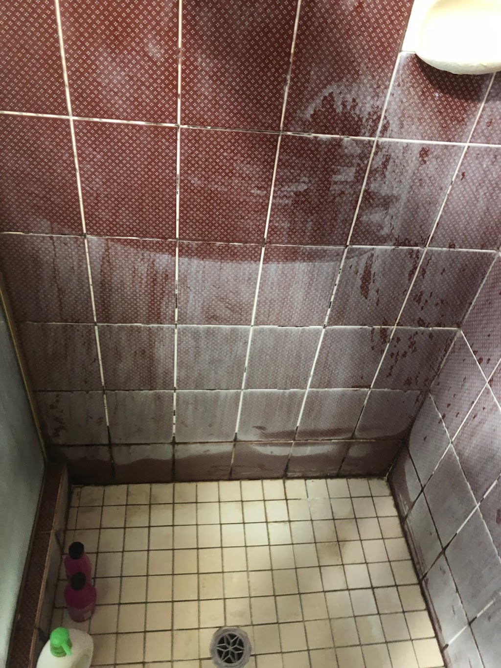 Leaking Showers Sealed | 21 Pitt Ln, North Richmond NSW 2754, Australia | Phone: 0402 700 051