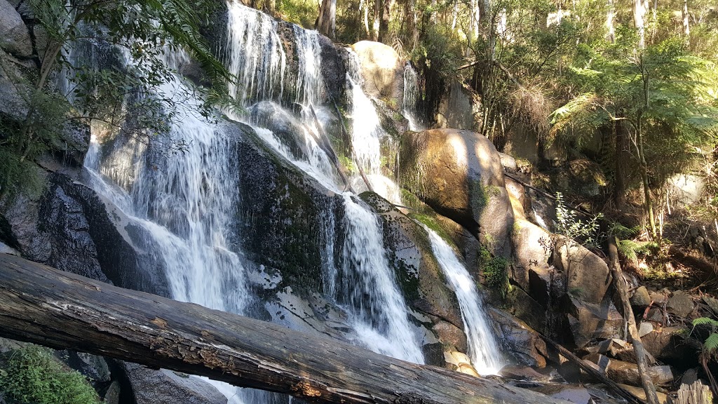 Toorongo Falls Reserve | park | 640 Toorongo Valley Rd, Noojee VIC 3833, Australia | 0356242411 OR +61 3 5624 2411