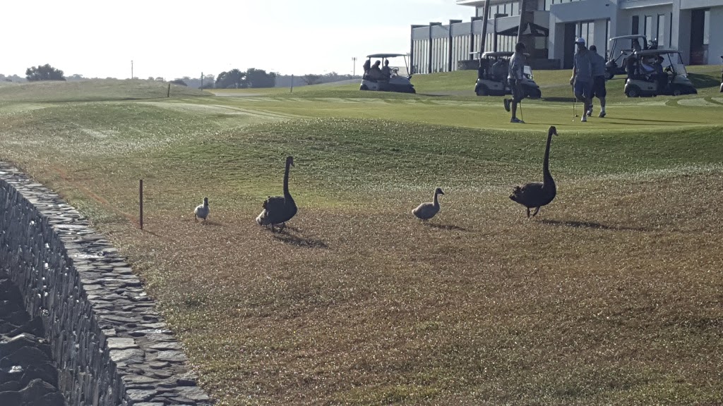 Queensland Golf Performance Centre | 374-514 David Low Way, Bli Bli QLD 4560, Australia | Phone: (07) 5457 0900