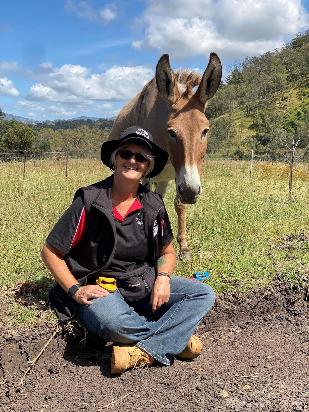 Last Stop Donkey Program | 119A Minimbah Dr, Whittingham NSW 2330, Australia | Phone: 0400 622 244