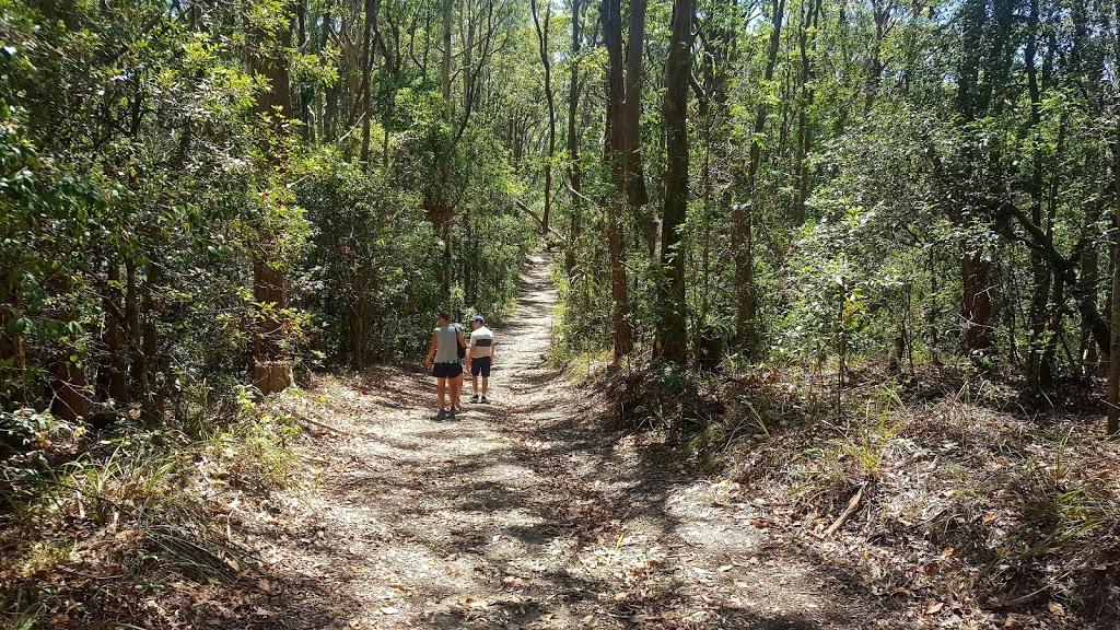 Bongil Bongil National Park | park | Bundagen NSW 2454, Australia | 0266520900 OR +61 2 6652 0900