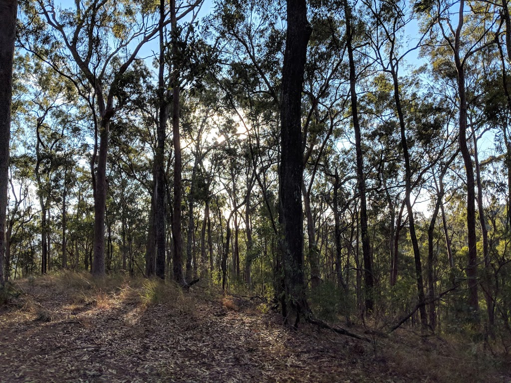 Honeyeater Hiking Track | park | Honeyeater Track, Mount Coot-Tha QLD 4066, Australia