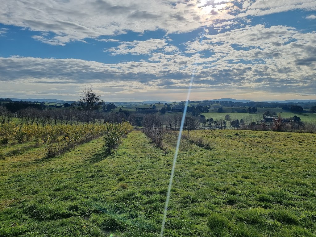 Scotch Hill Truffle Farm | 119 McDougal Rd, Neerim South VIC 3831, Australia | Phone: 0417 426 427