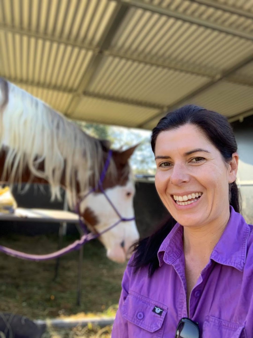 Equine Assisted Therapy Newcastle | health | George Booth Dr, Buchanan NSW 2323, Australia | 0414494116 OR +61 414 494 116