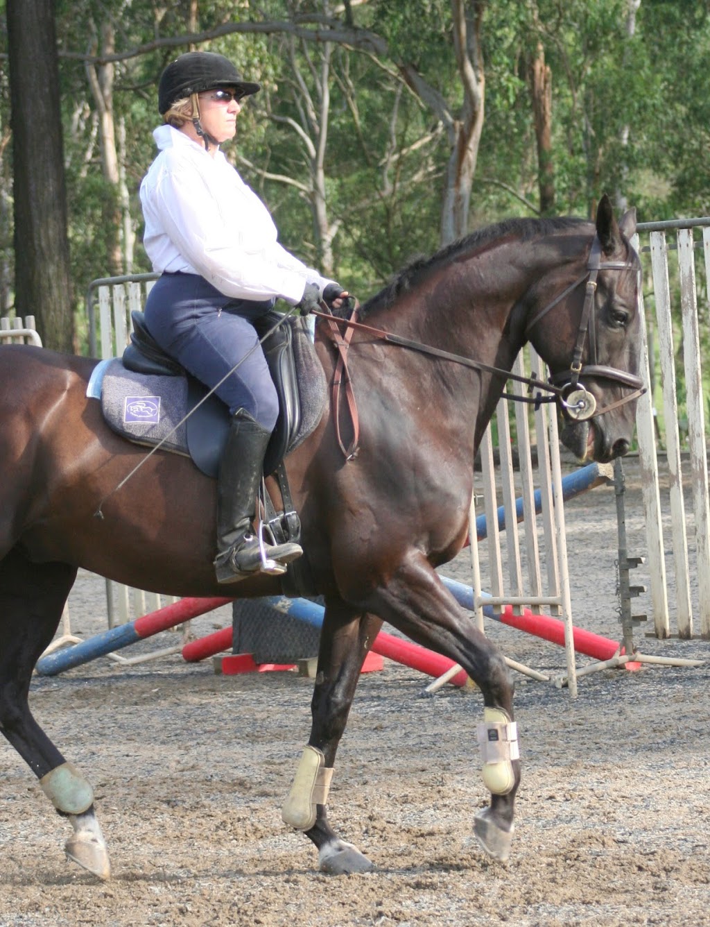 Johnson Equestrian Services |  | 44 Nelson Rd, Nelson NSW 2765, Australia | 0431212661 OR +61 431 212 661